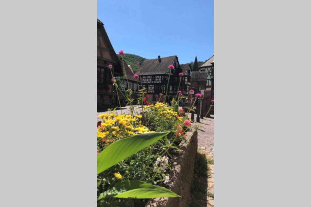 Appartement Coeur Alsace à Colmar Extérieur photo