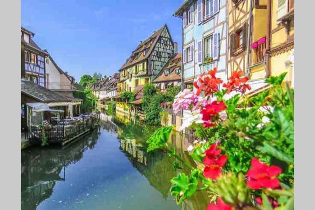 Appartement Coeur Alsace à Colmar Extérieur photo