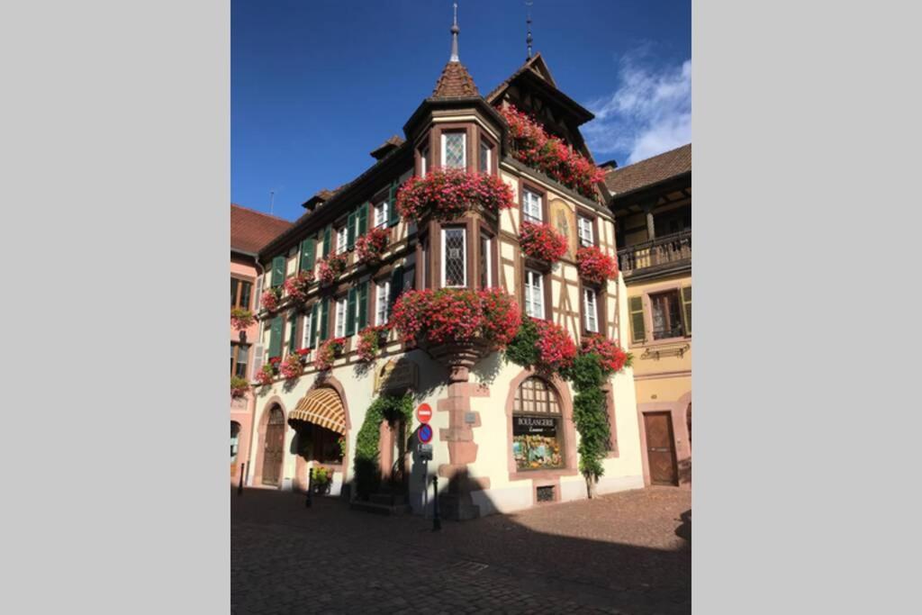 Appartement Coeur Alsace à Colmar Extérieur photo