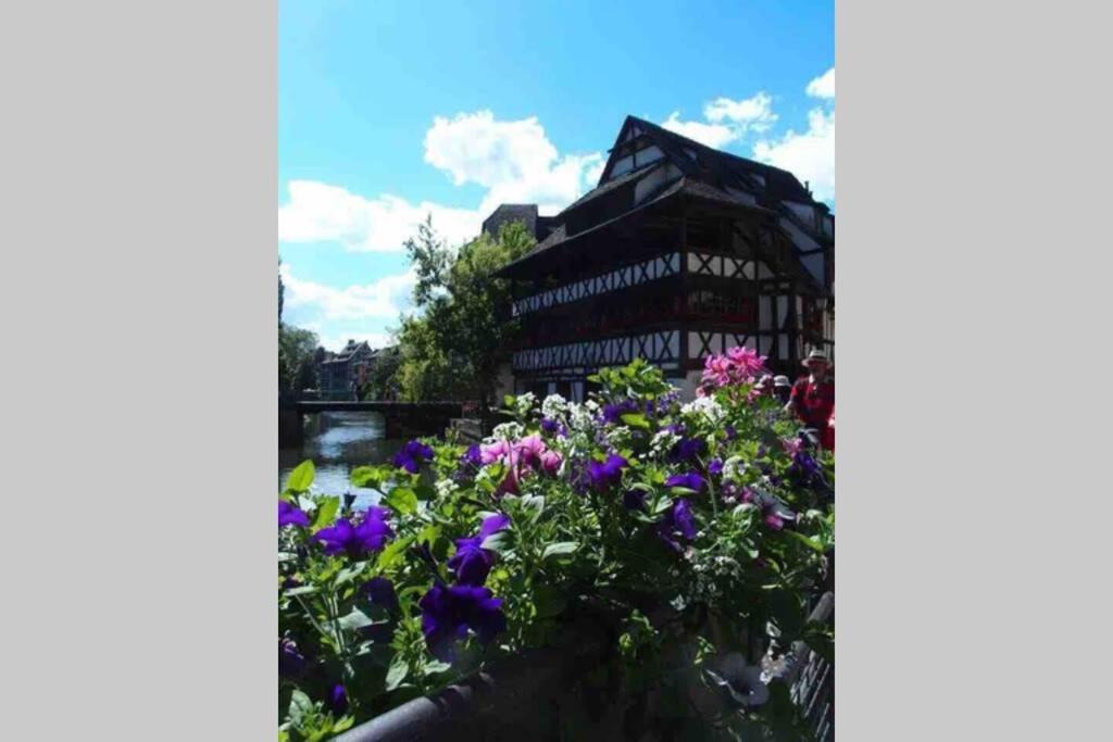 Appartement Coeur Alsace à Colmar Extérieur photo