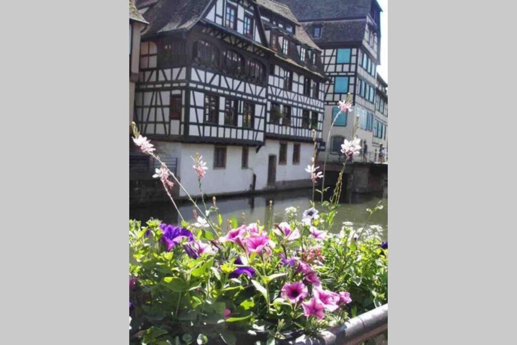Appartement Coeur Alsace à Colmar Extérieur photo
